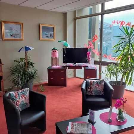 敦刻尔克莱斯根斯德梅尔波普平斯酒店 2*